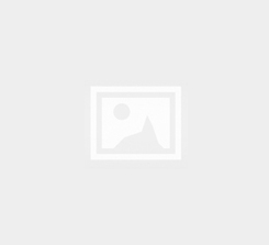Web Tasarım Hizmeti
